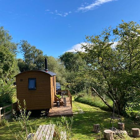 Herdwick Shepherd Hut 埃克塞特 外观 照片
