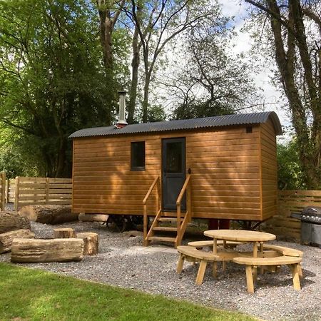 Herdwick Shepherd Hut 埃克塞特 外观 照片