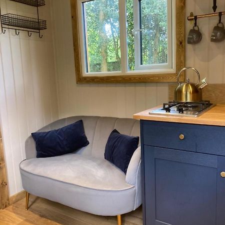 Herdwick Shepherd Hut 埃克塞特 外观 照片
